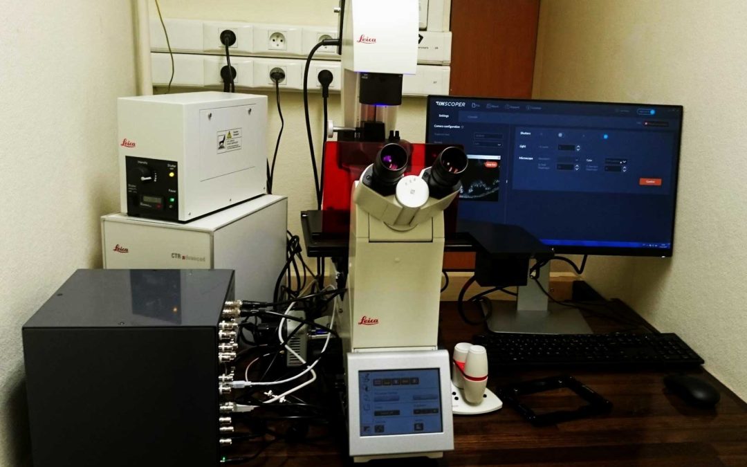 3D High Throughput Imaging – Nice, France