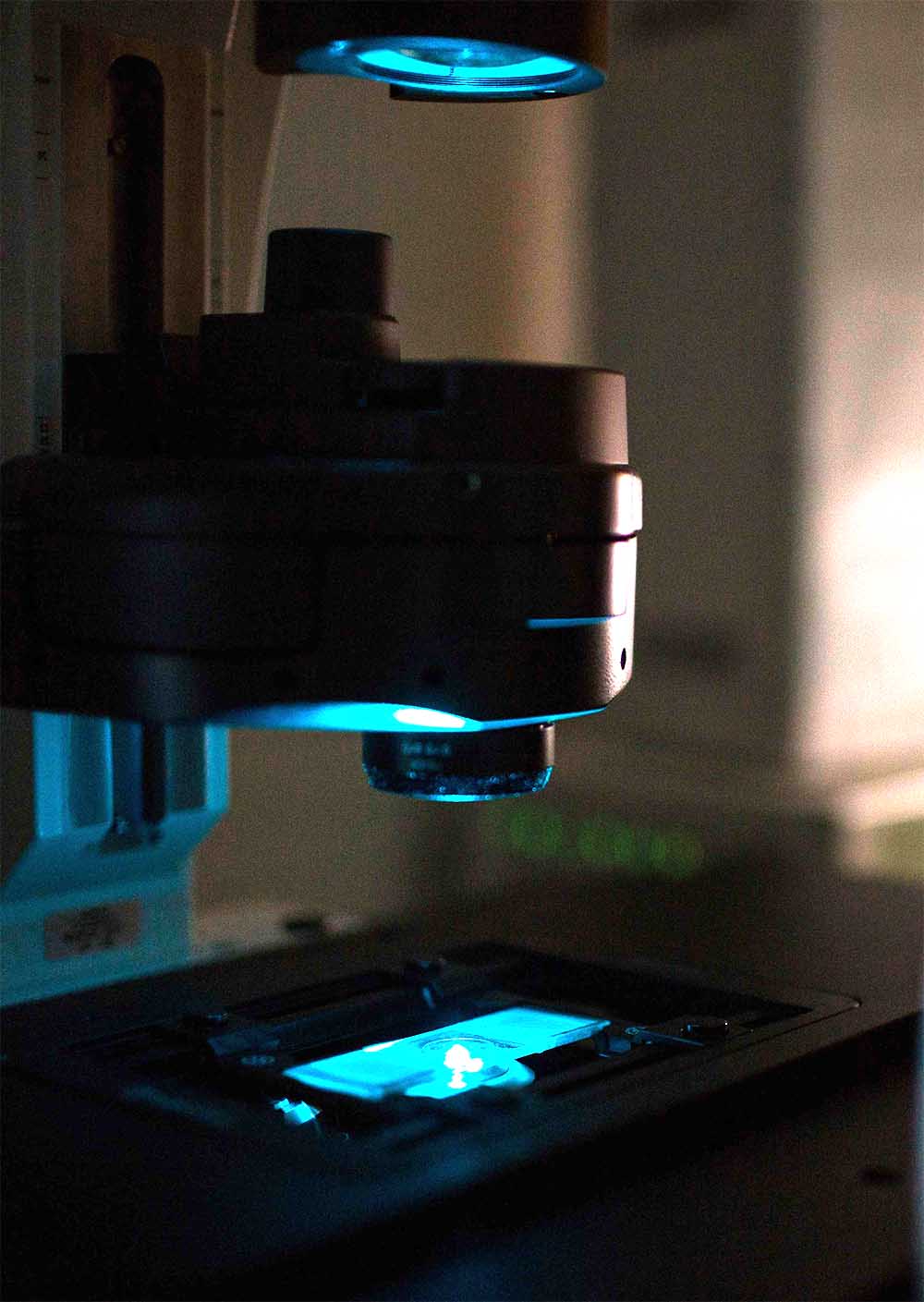 live-cell-imaging live-cell-imaging