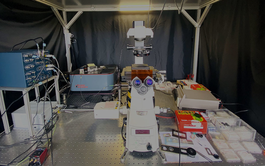 Photoluminescence spectra measuring of dynamically moving nanophosphors  – Paris, France