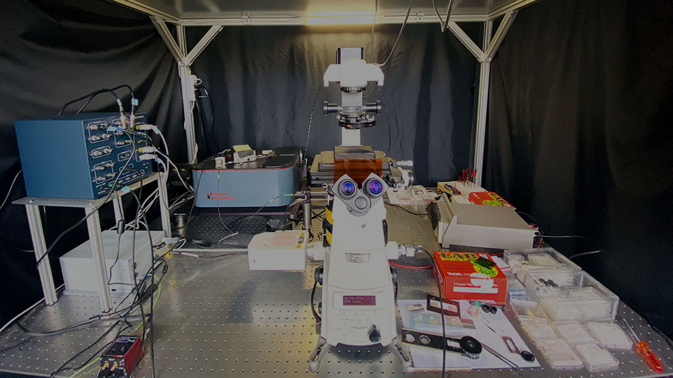 Photoluminescence-spectra-measuring system