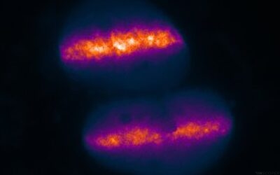 Microirradiation using Inscoper scanFRAP  for real-time DNA repair monitoring