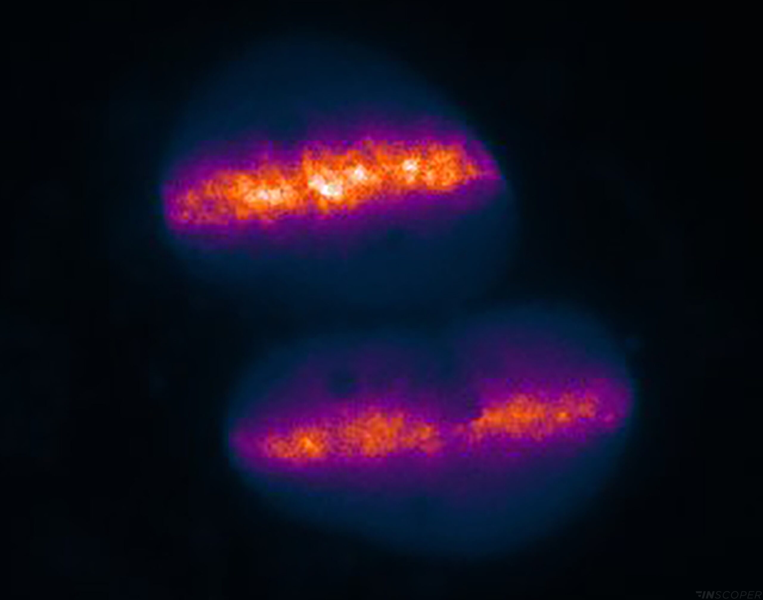 bio-cell4