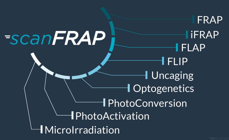 scanFRAP-applications-schema scan-frap-applications