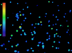 gif_Inscoper