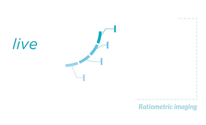 live-ratio-applications