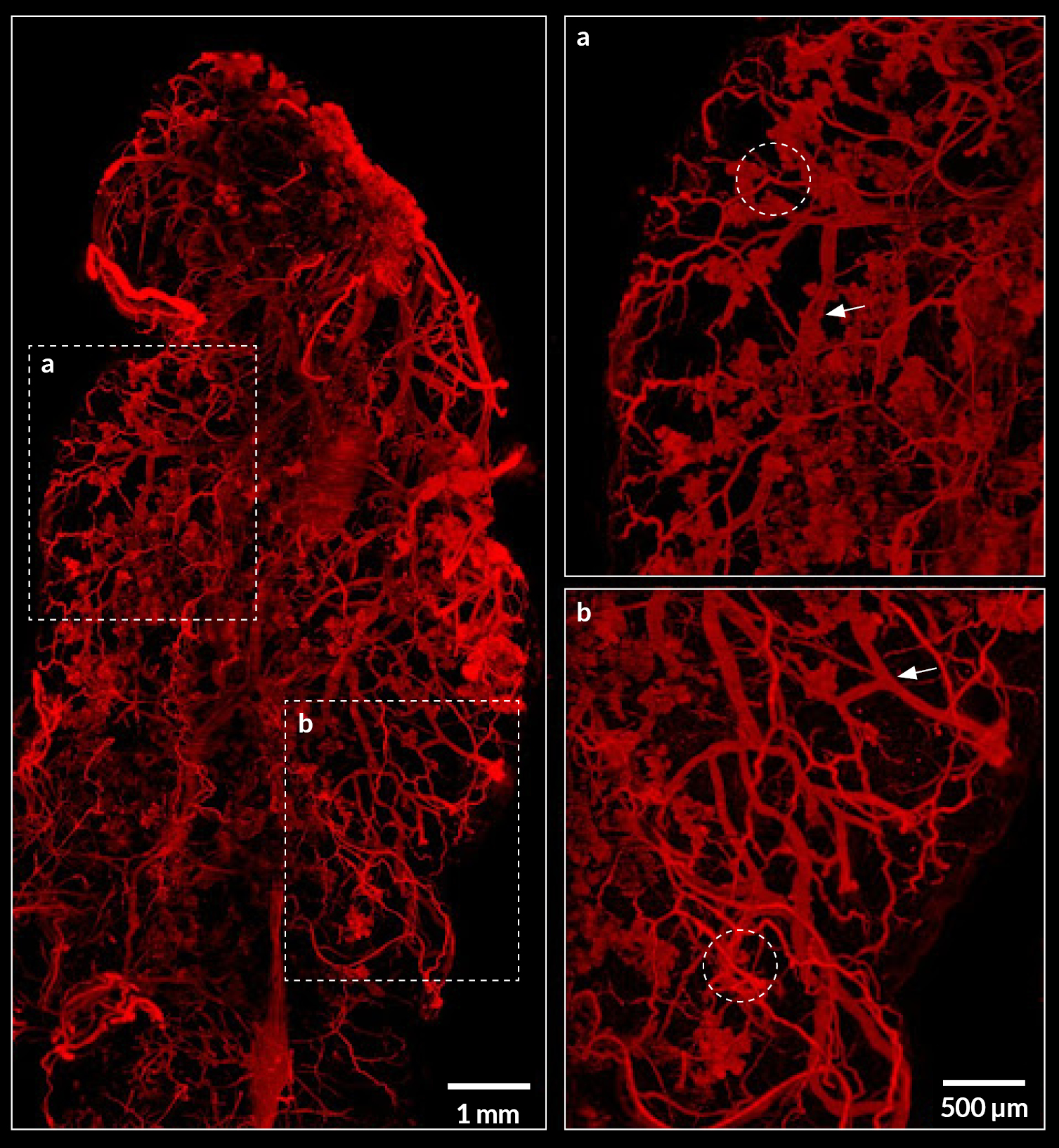 Figure3_application
