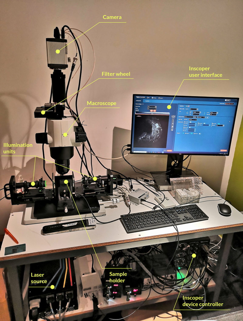 Fig1_Ultramacroscope-setup-equipped-with-Inscoper-Imaging-Solution