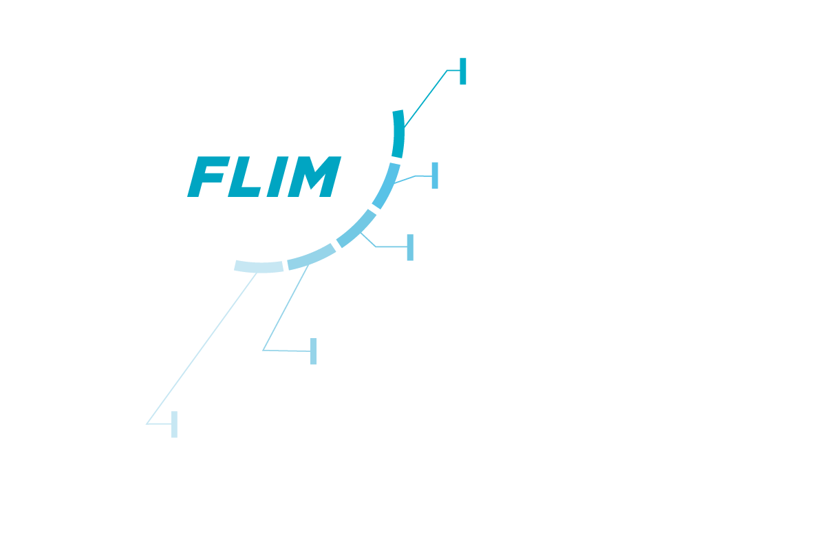 fastFLIM-applications fast-flim-applications