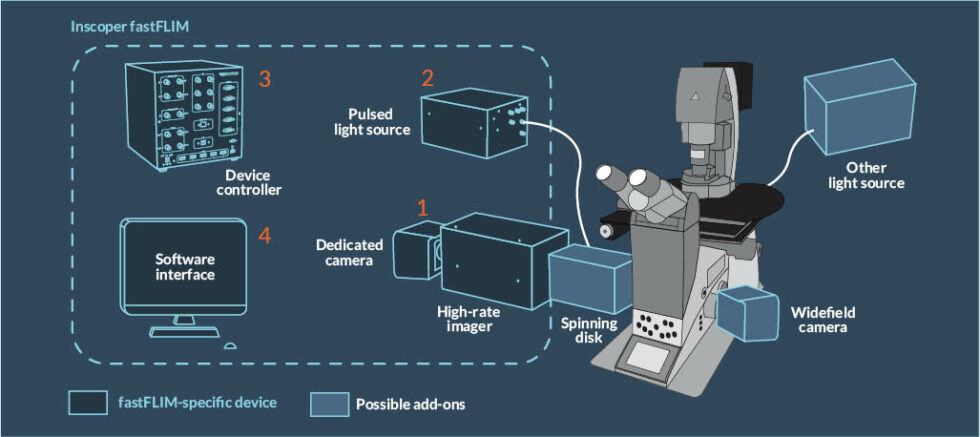 Flim Sensor Using Device Inscoper fastFLIM - INSCOPER