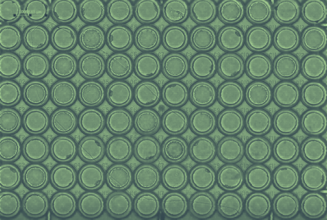 multi well plate
