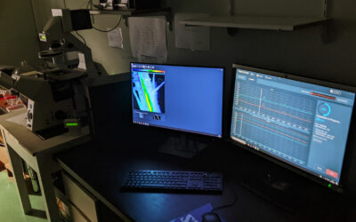 Ratiometric imaging – Montpellier, FRANCE