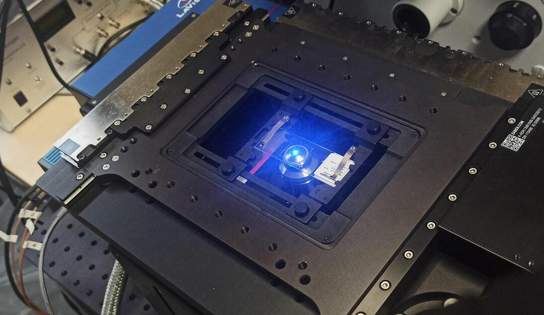 Higher XY Speed for Live Cell Imaging with ZABER Nucleus microscope