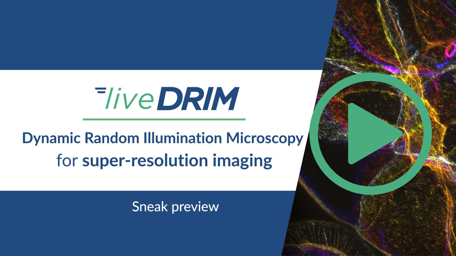 liveDRIM video demo, static image introduction