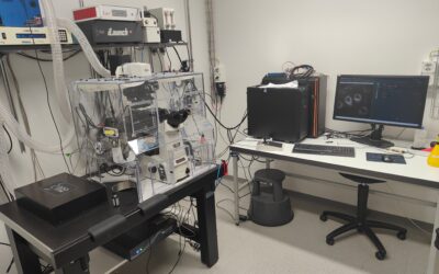Real-time feedback  control microscopy, Pertz Lab, Bern, Switzerland