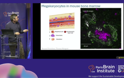 liveDRIM at TED ImaBio: Super-Resolution for Live and Complex Biological Samples